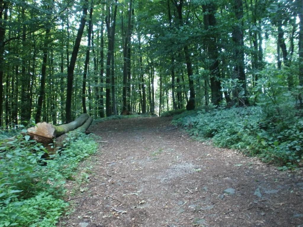 Ferienwohnung Irmgard Und Ferienwohnung Gerlinde Waldbrunn  Buitenkant foto